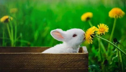 三沙伴游,定制QQ:3494206190微信:act1322